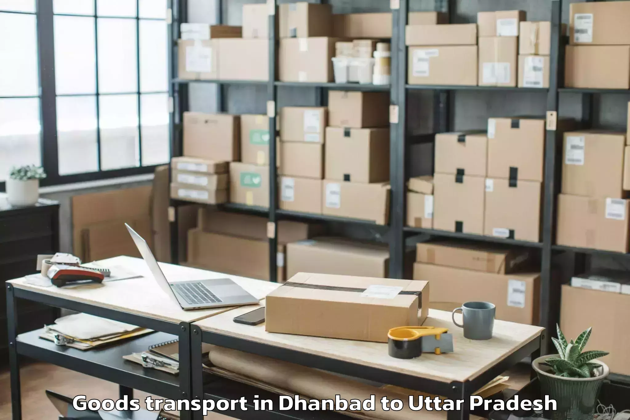 Book Dhanbad to Dhanaura Goods Transport